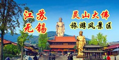 嗯阿操免费视频江苏无锡灵山大佛旅游风景区