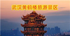 大鸡八网站