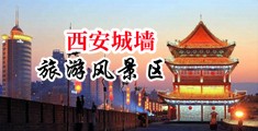 黑逼操逼中国陕西-西安城墙旅游风景区