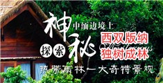 女生鸡巴网站