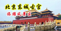 大黑逼、com中国北京-东城古宫旅游风景区