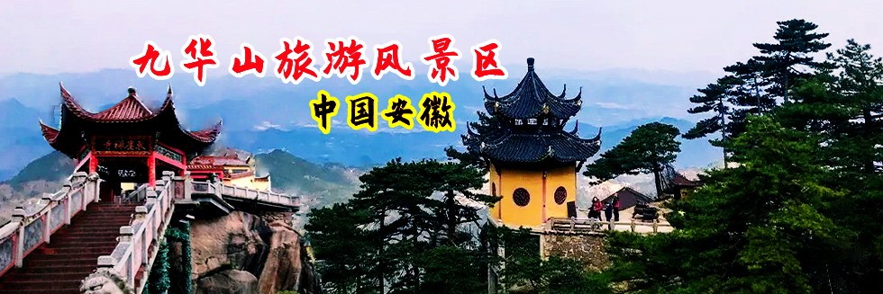 啊啊啊不要操了在线观看