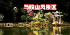 爽到高潮喷水视频