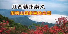 大逼美女黄色网址